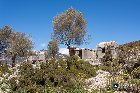 Cluster of Lycian tombs in the Sidyma necropolis
