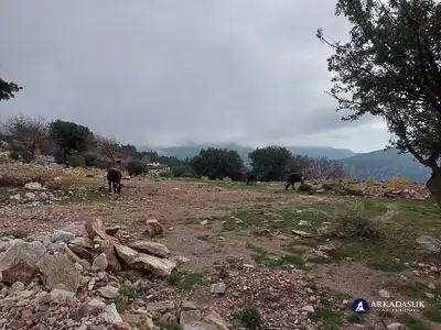 hiking the Lycian Trail from Ovacik to Faralya