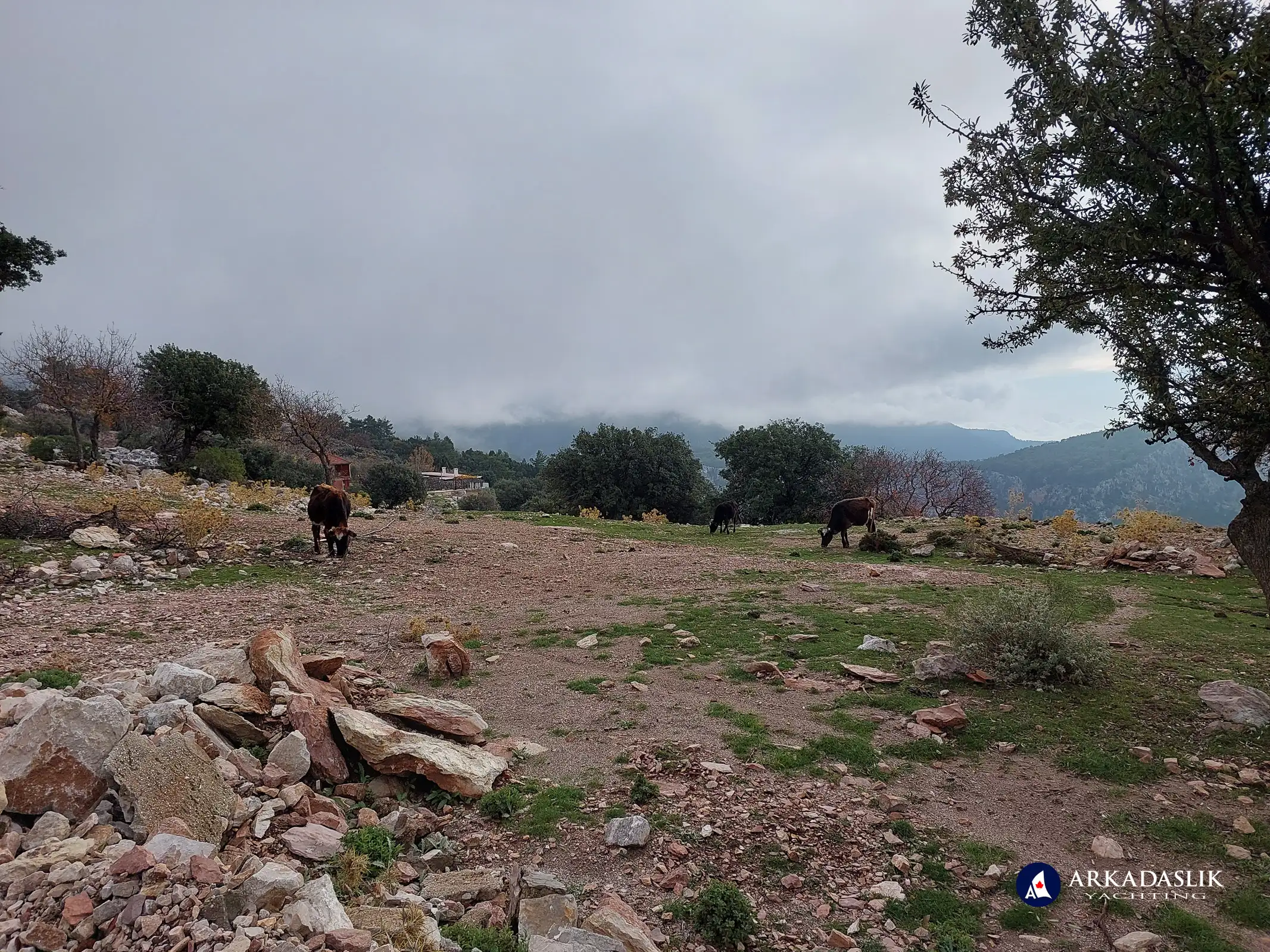 hiking the Lycian Trail from Ovacik to Faralya