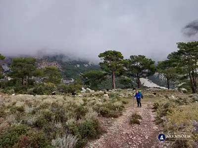 hiking the Lycian Trail from Ovacik to Faralya