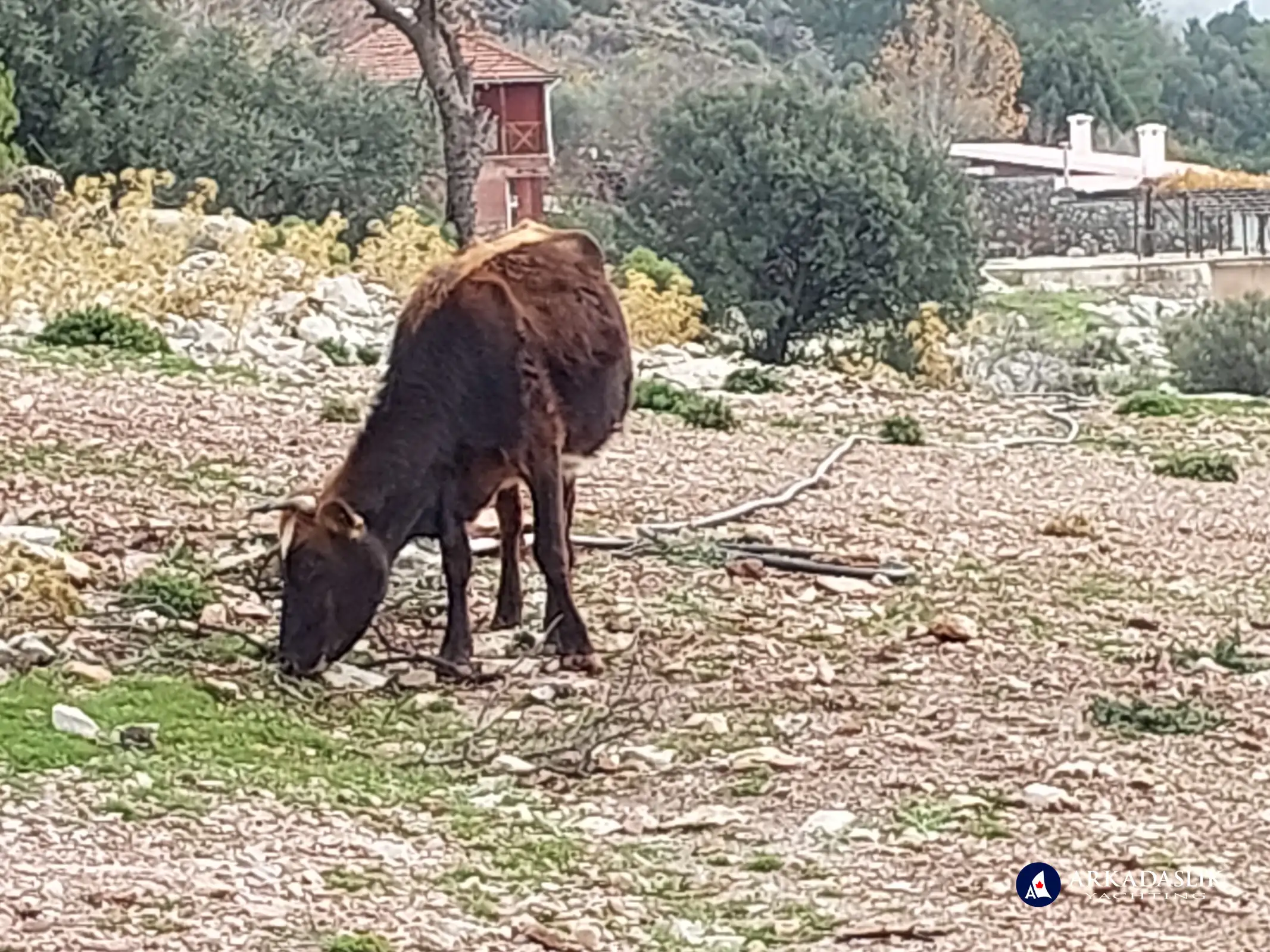 hiking the Lycian Trail from Ovacik to Faralya