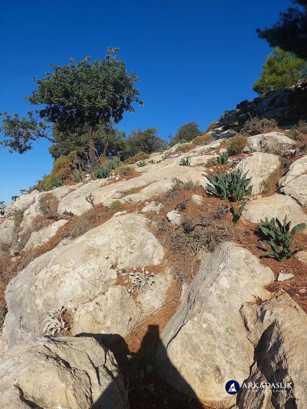 hiking the Lycian Trail from Alinca to Gey