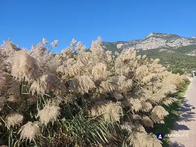 Hiking the Lycian Trail from Gavura&#287;&#305;l&#305; to &#199;avd&#305;r