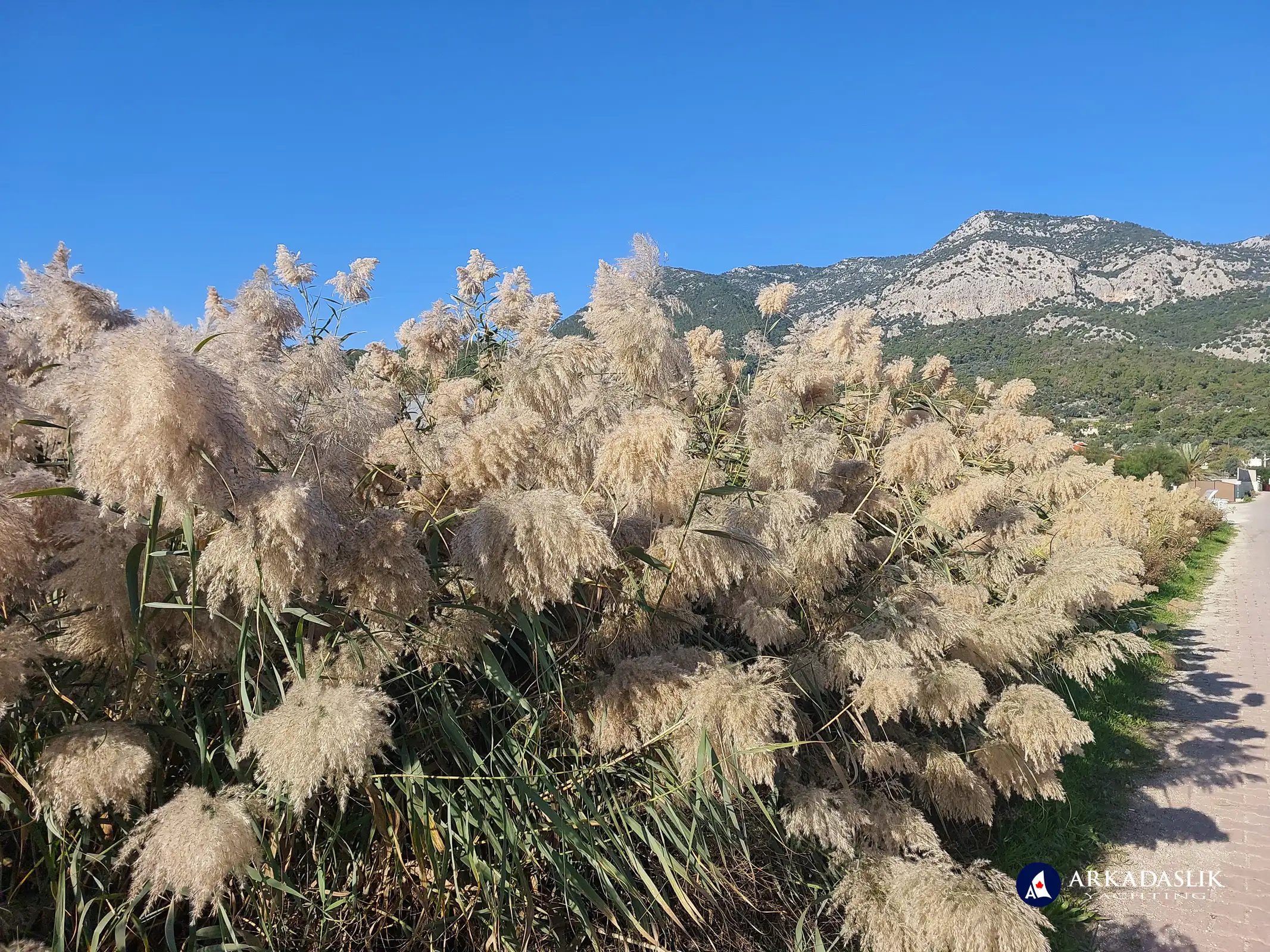Hiking the Lycian Trail from Gavura&#287;&#305;l&#305; to &#199;avd&#305;r