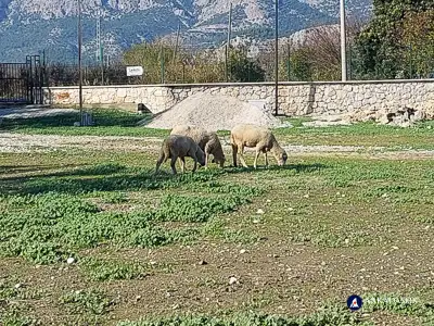 Hiking the Lycian Trail from Gavura&#287;&#305;l&#305; to &#199;avd&#305;r