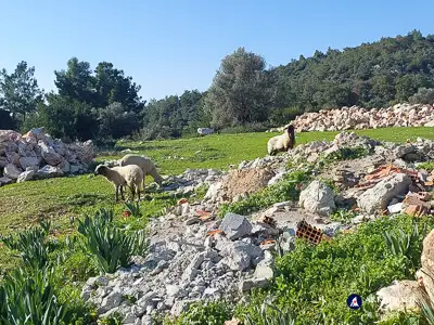 Hiking the Lycian Trail from Gavura&#287;&#305;l&#305; to &#199;avd&#305;r