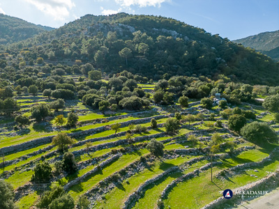 Terraced slopes surrounding ancient Sidyma