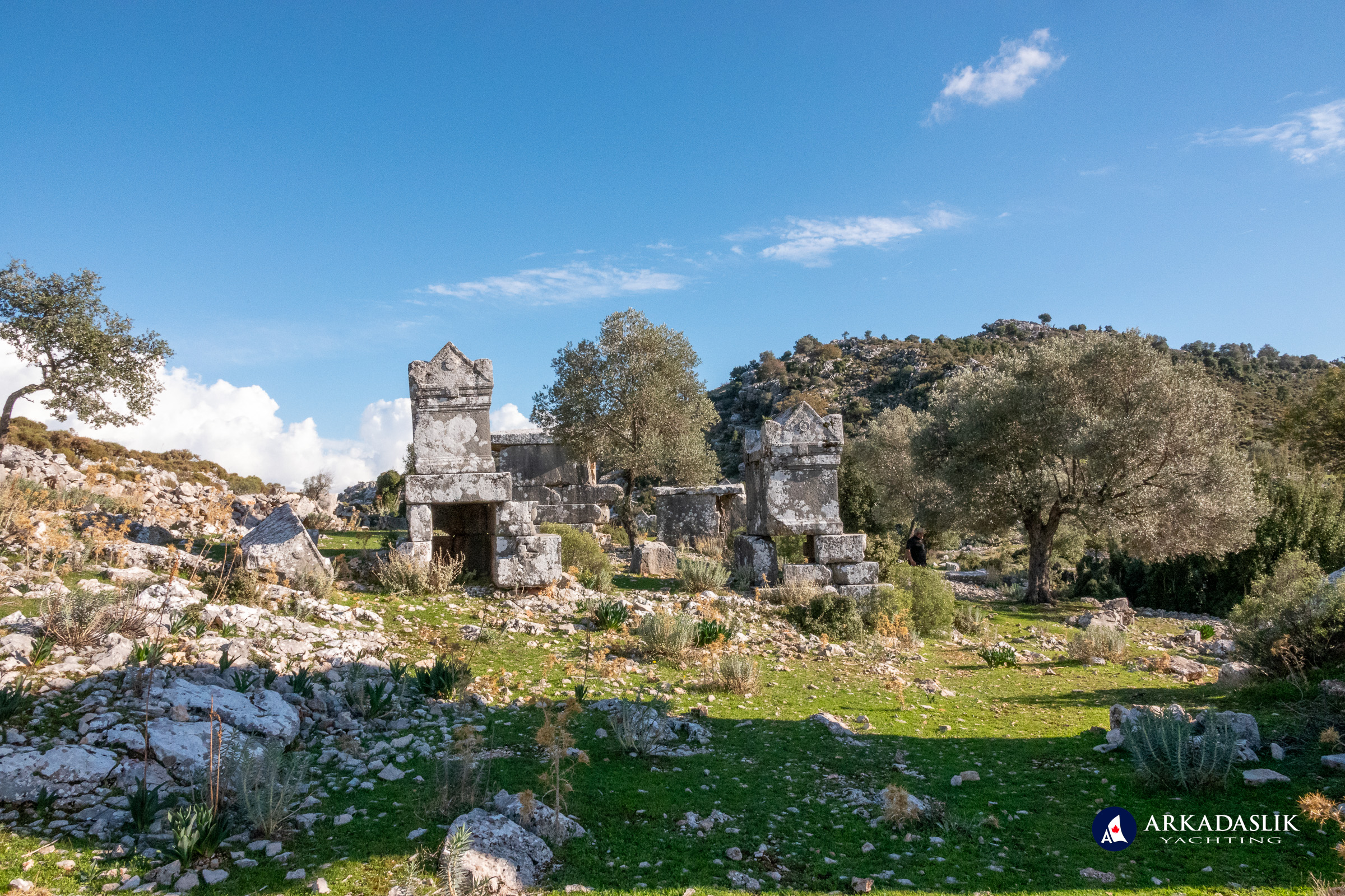 Tombs set within an olive grove at Sidyma