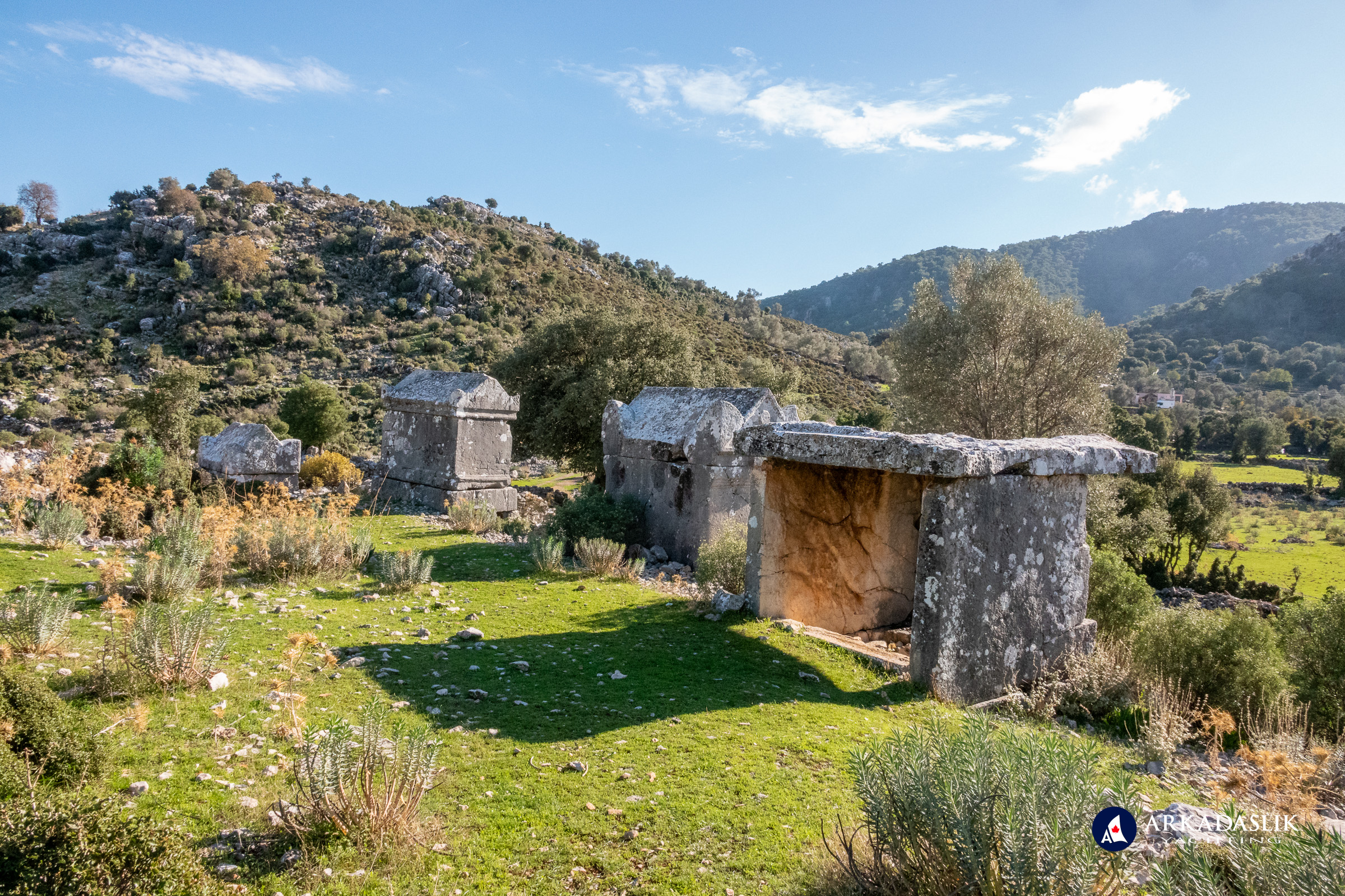 Lycian tombs scattered among olive trees at Sidyma