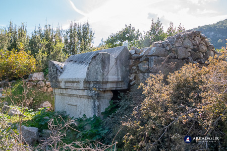 Hip-style tomb partially hidden in vegetation at Sidyma