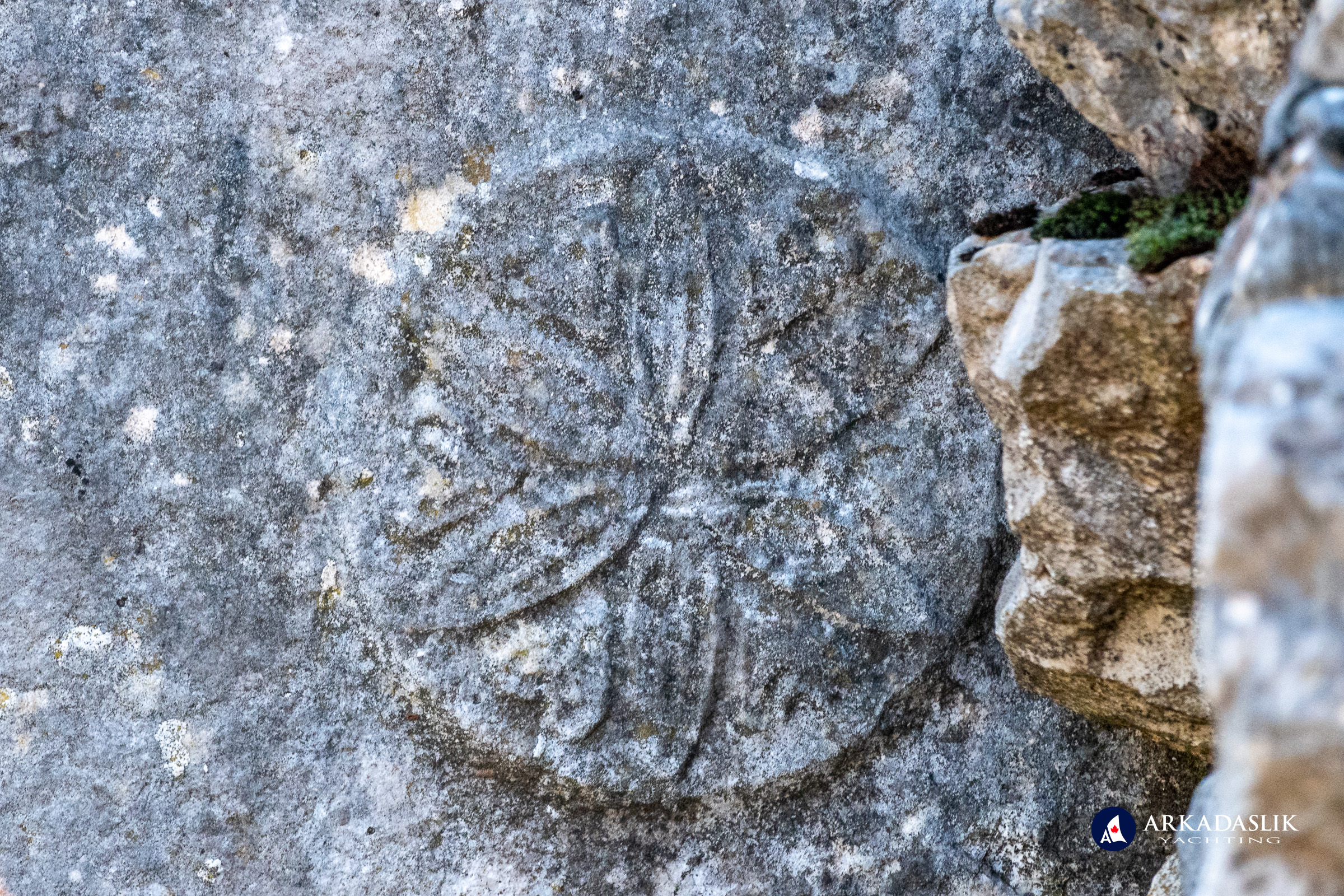 Floral motif carved into the roof of a Sidyma tomb