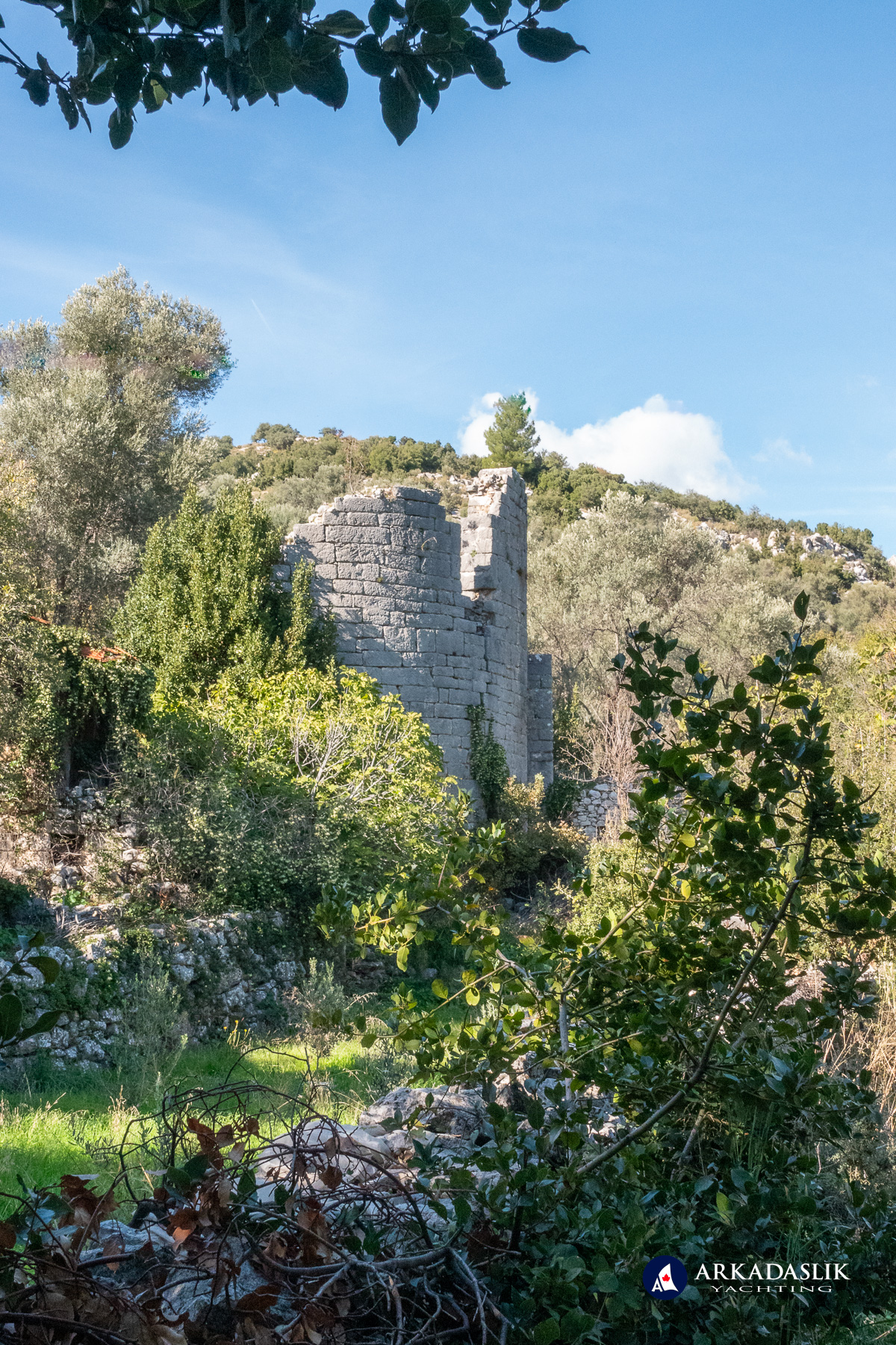 Church apsidal wall seen in deep vegetation.